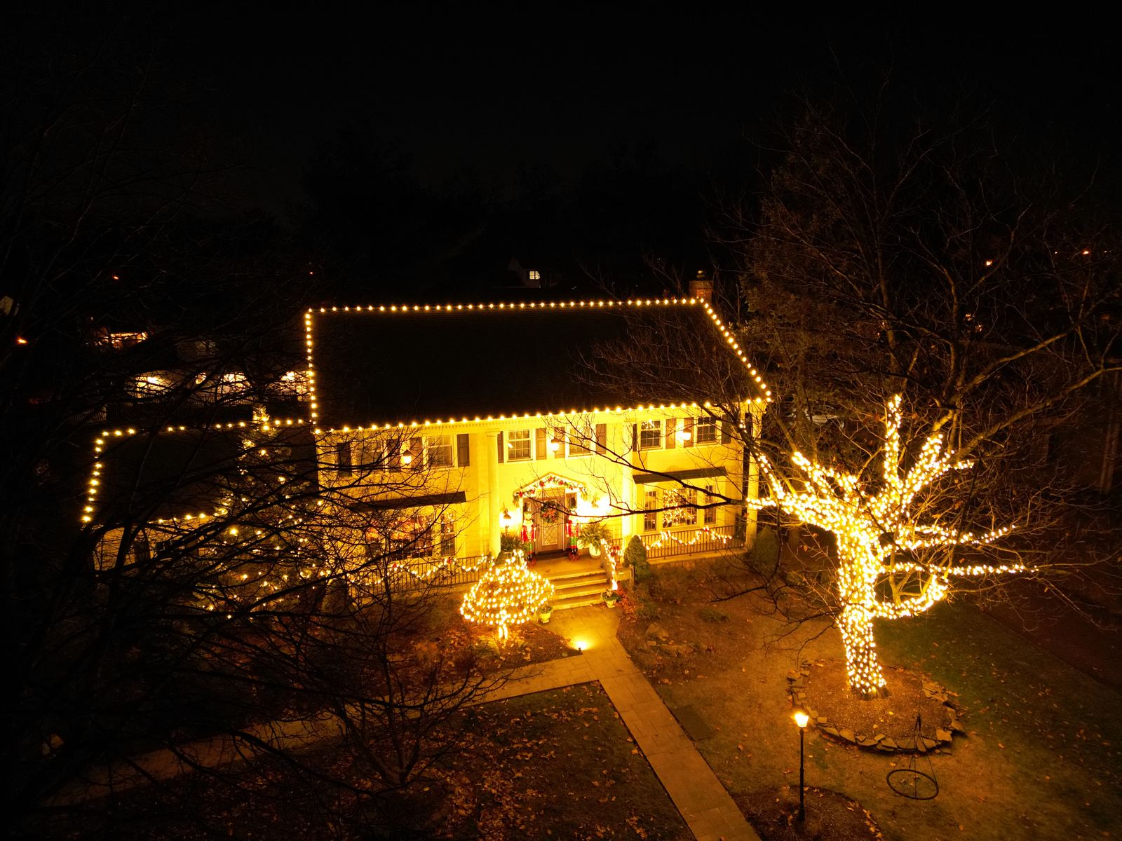 Lit trees and pathway lighting
