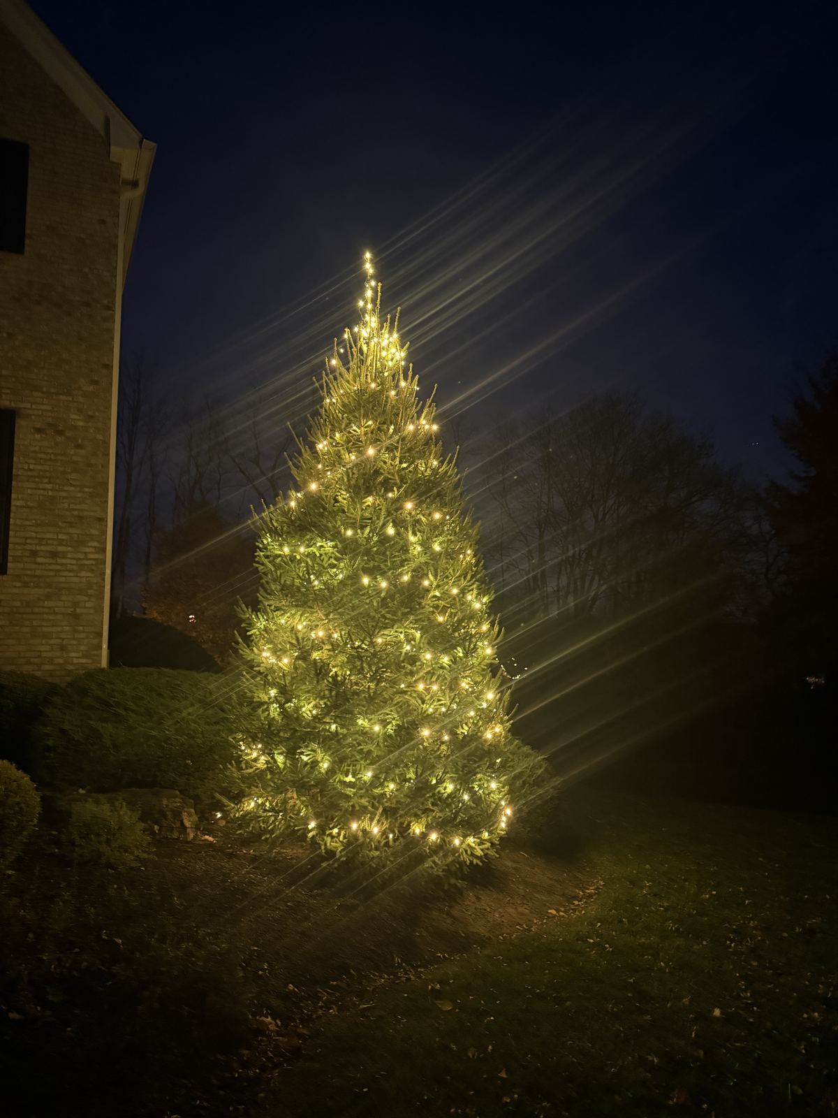 Golden Glow Lighting installation, North Jersey